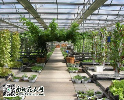 示范園